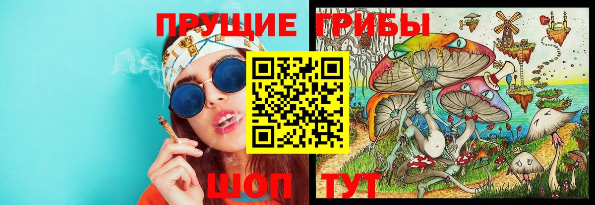 Галлюциногенные грибы мицелий  Галлюциногенные грибы MAGIC MUSHROOMS  Рубцовск  Вход с VPN 
